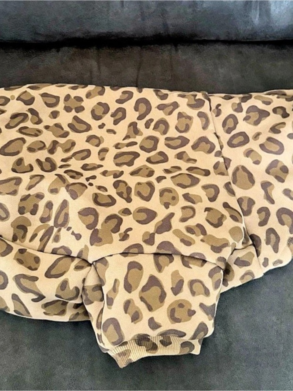 Comfrt Leopard Print Dog Jacket